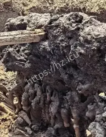 河北麦田天降怪石